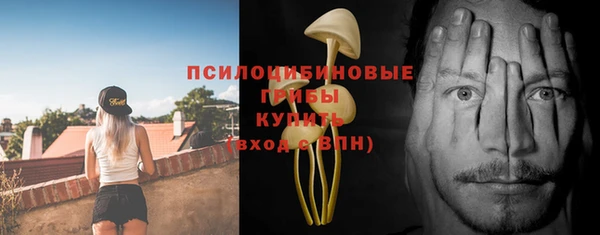 гашик Балабаново