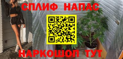 гидра Волгодонск